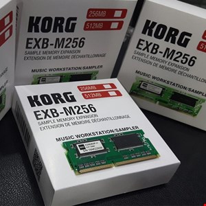 Ram256 pa800