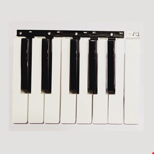 کلاویه korg pa600